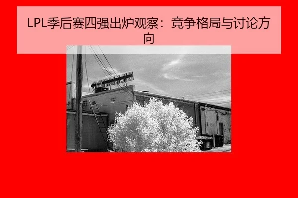 ji-hou-sai-si-qiang-chu-lu-guan-cha-jing-zheng-ge-ju-yu-tao-lun-fang-xiang-2-501.jpg